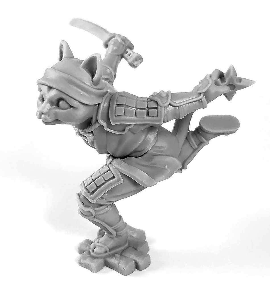 NinjaCat_1024x1024.jpg