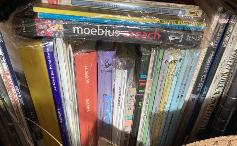 Moebius Blueberry Books 3 small.jpeg