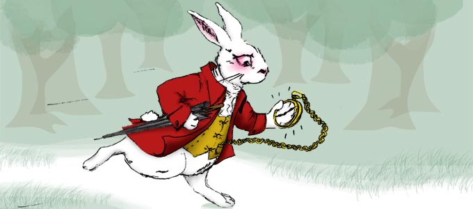 680-white-rabbit.jpg