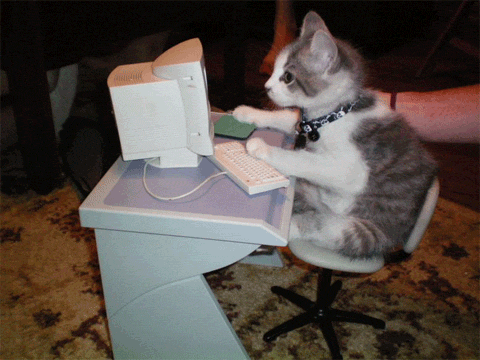 kitty_hacking.gif