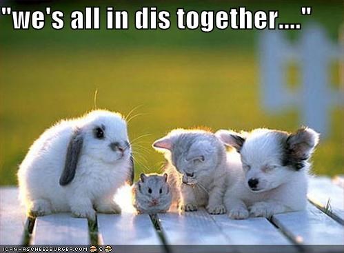 wes-all-in-dis-together.jpg